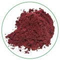 ISO certificate instant blueberry powder blueberry extract