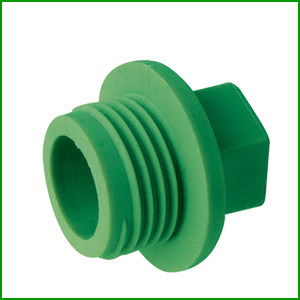 PPR Pipe Plug