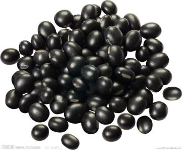 dried Black Bean with cheap price
