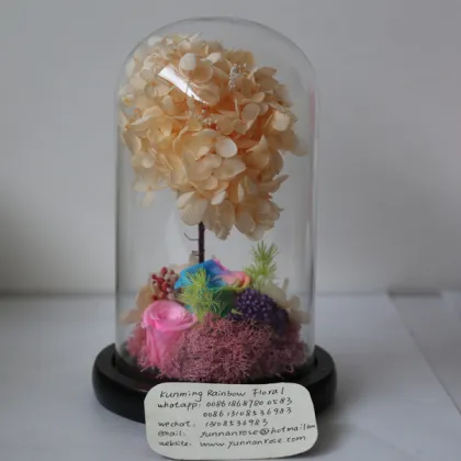 Venus Et Fleur Real Rose Leaves for Home-Decoration