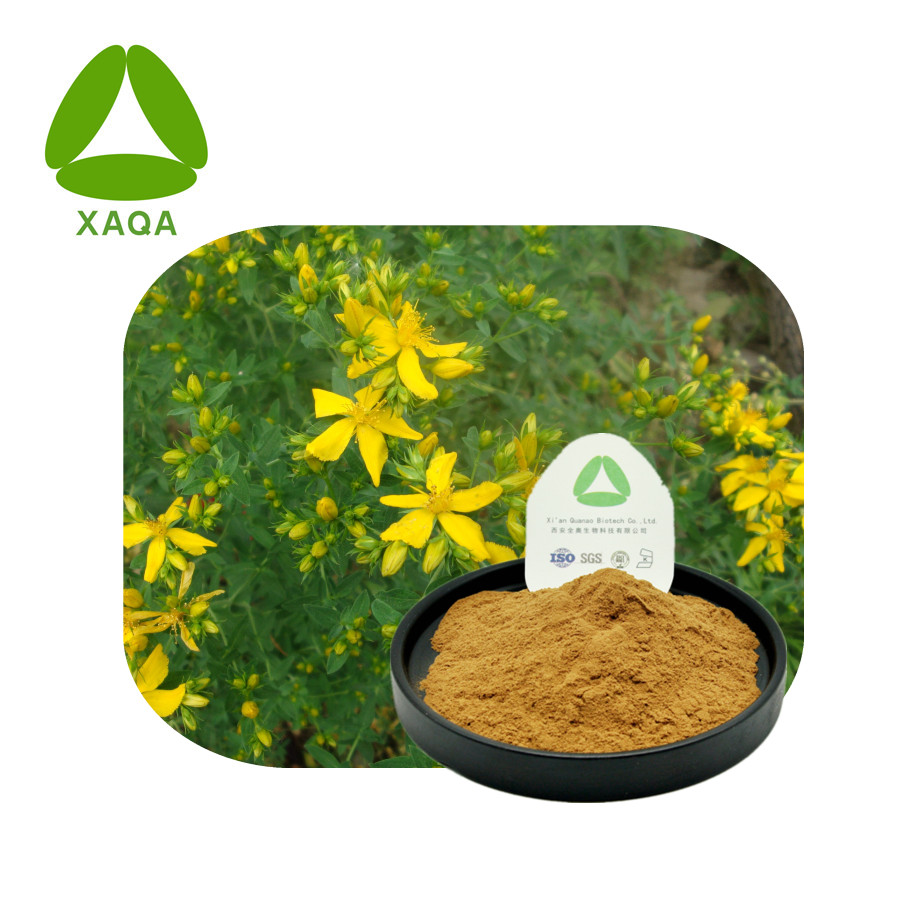 ST John's Wort Extracto Polvo Hypericin 0.3% CAS548-04-9