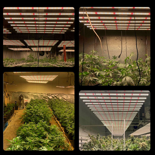 Hemp Plant Led UV IR Grow Light