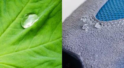 athletic shoe care kit shoe clean and fresh