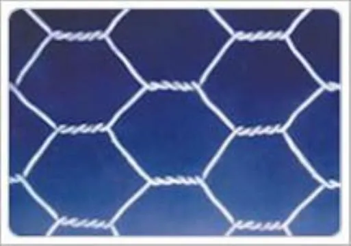 Hexagonal Wire Netting manufacturer