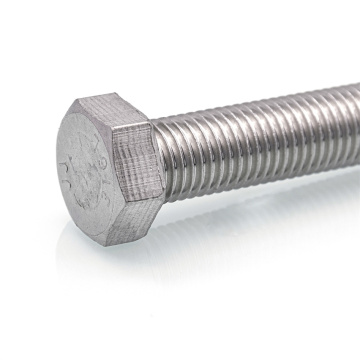 SS Hex Nut και Hex Head Bolt