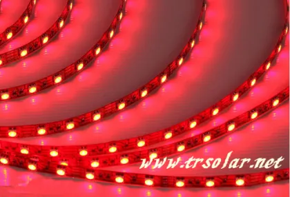 Strip Light