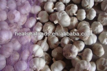 China Super White Garlic - Spicy Vegetable For Export