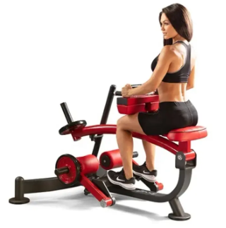 Seated Leg Curl Gym Fitness Equipment for Gym