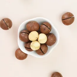 Macadamia Nuts (Macadamia integrifolia)
