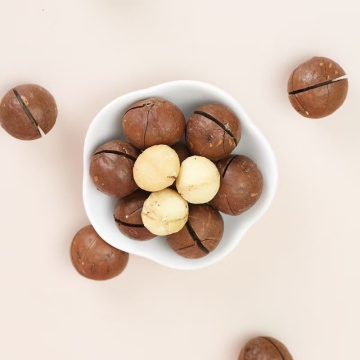 Kacang Macadamia (Macadamia integrifolia)