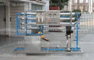 20T/h RO Reverse Osmosis Pure Water Treatment Equipment Fil