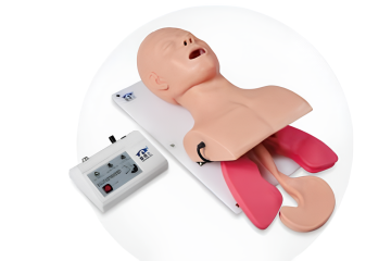 Advanced Endotracheal Intubation Model