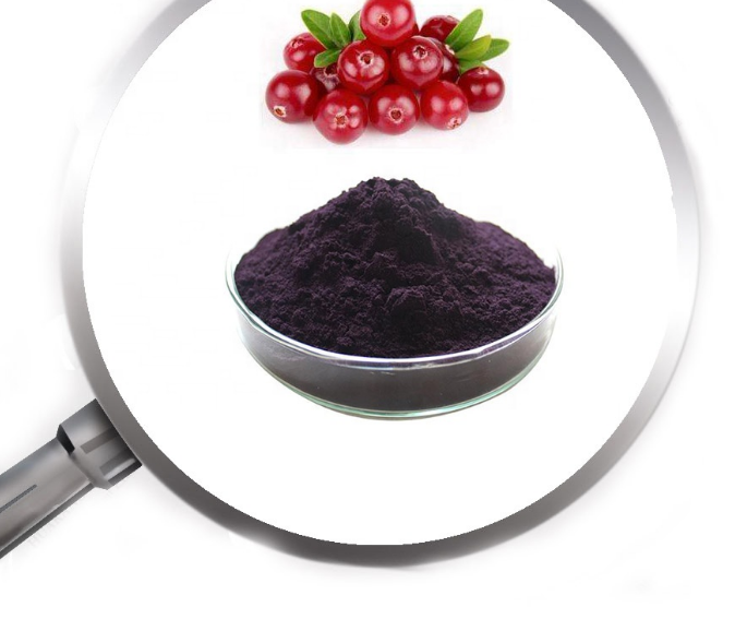 Cranberry Extract Powder 5 Png