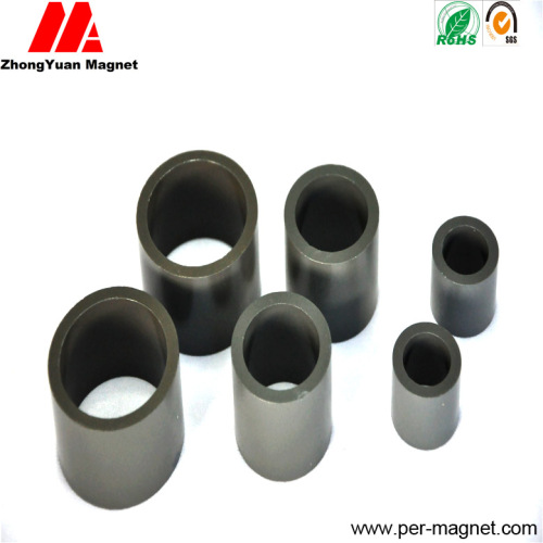 Bnp-9 Ring NdFeB Bonded Magnet for BLDC Motor