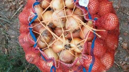 Bolsas de cebolla de malla de 30 kg y 50 kg al por mayor para embalaje de cebolla