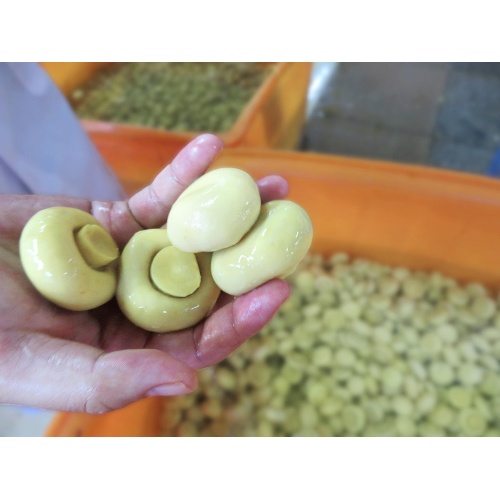đóng hộp toàn bộ nấm