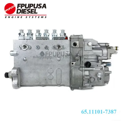 101609-904A Engine Fuel Injection Pump Assy for Doo-won DB58 Engine