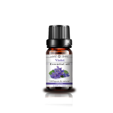 Pure Violet Essential Oil Perfume Organic Natural Essential Extrato