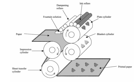 Corrugated Cardboard Printing Adaptability Analysis