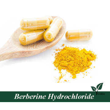 Berberine Hydrochloride For Weight Loss Berberine HCL