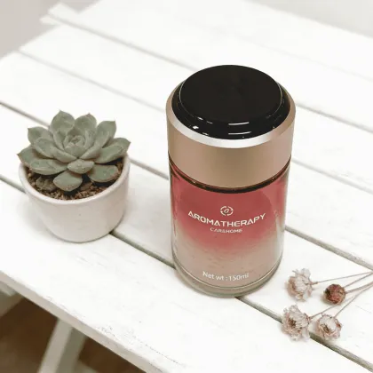 Car Interior Aromatherapy Diffuser