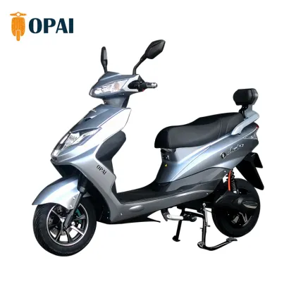 OPAI EEC CKD Mini Cross Motor: 60V/72V/80km 2000W Electric Motor for Motos, Elektro Motorrad, EV Scooter, and Electric Motorcycle