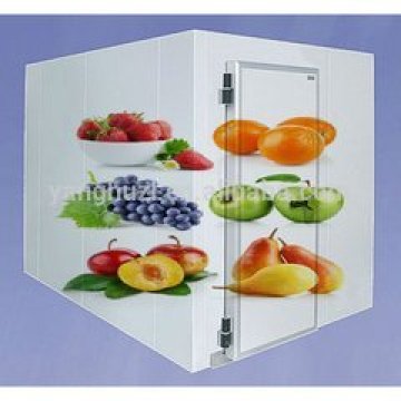 freezer cold room for fruit and vegetable fresh