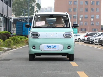 Wuling Mini EV New Energy Vehicle