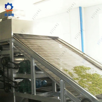 Pengering sabuk stainless steel untuk pleurotus eryngii miselium