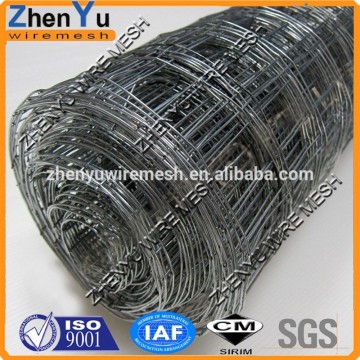 Specialized in PVC coated/galvanized/stainless steel welded wire mesh in roll and panel