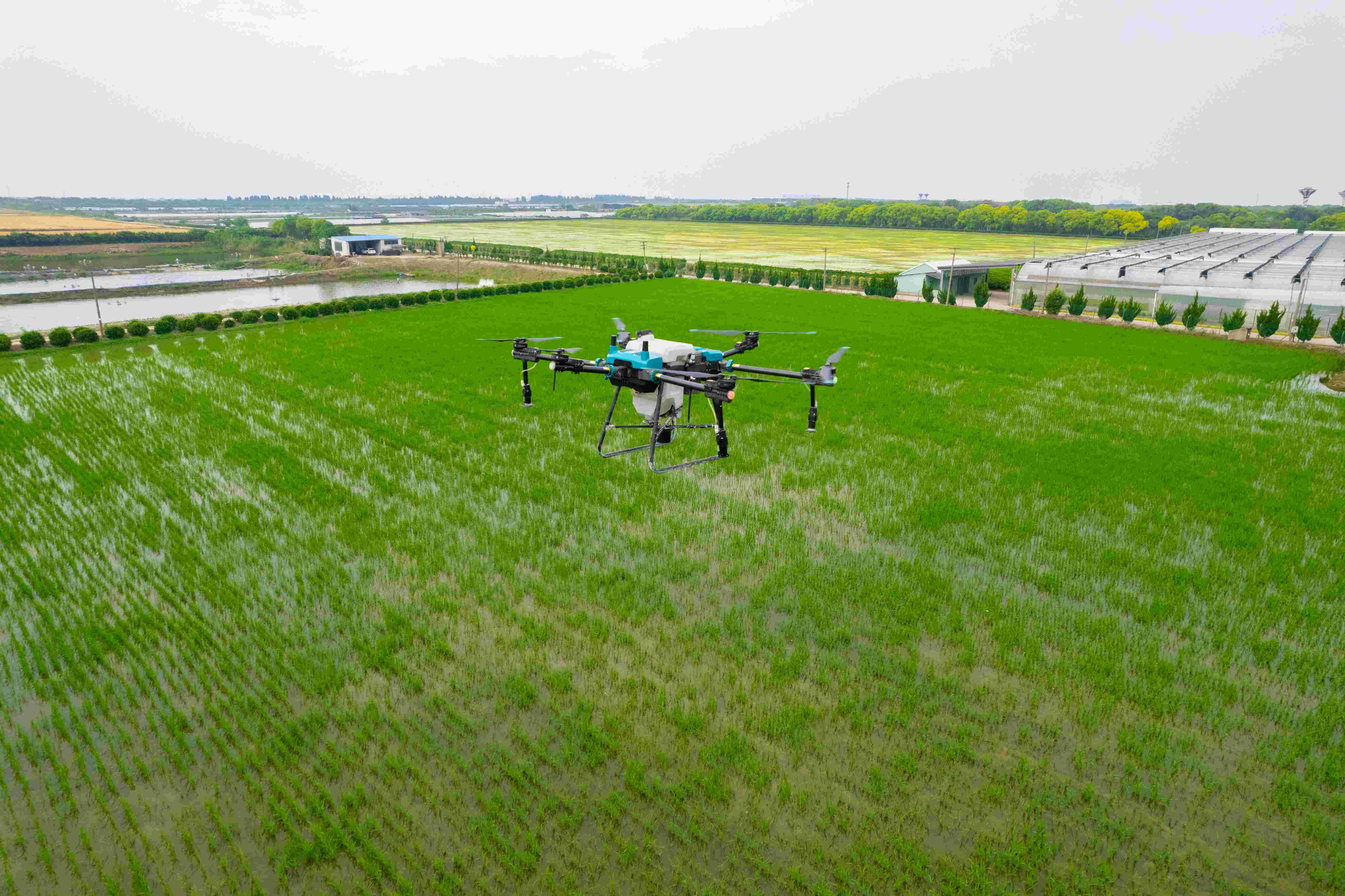 DJI_0654