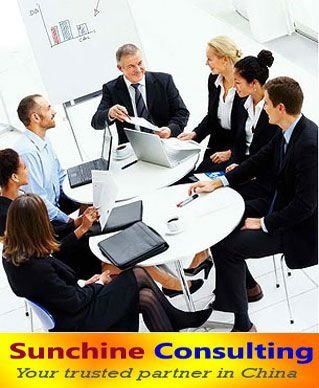 professional consultant in china