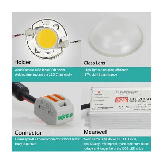 China top ten sellers orchids seedlings full spectrum apollo6 led grow light 600w