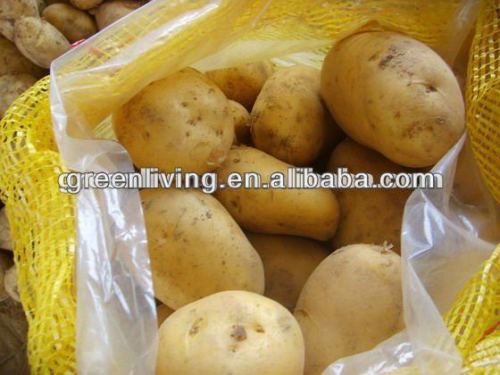 2014 whole sale potato, China(75-100gram)(100-150gram)(150-250gram up)