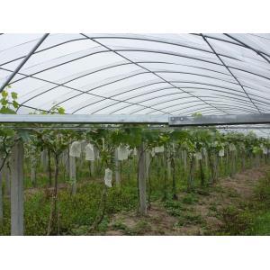 agriculture green house pp spunbonded nonwoven fabric