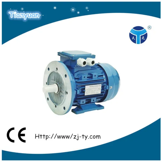Y3 B35 Flange Type Motor