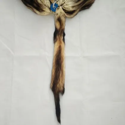 China factory wholesale fitchew fur mustela eversmanni fur