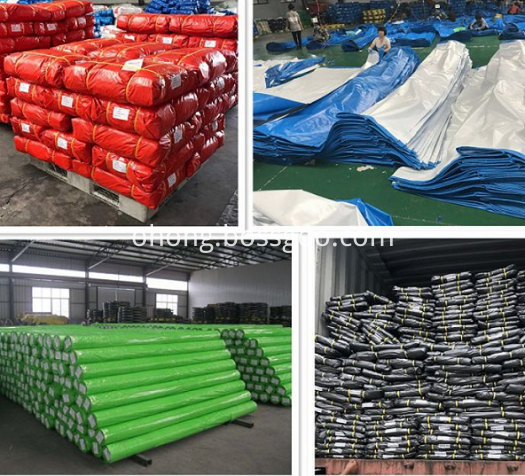 PE Tarpaulin Sheet