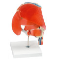 /msite/products/detail/productid/63602913/id/1517769.html