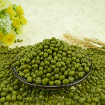 High Purity 2016 Crop Mung Bean Green Bean