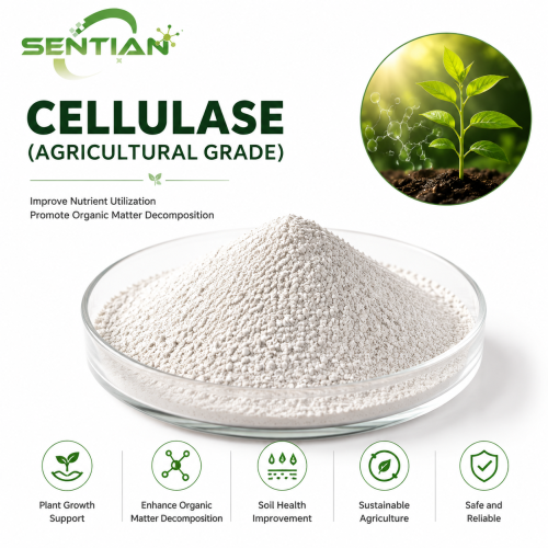 High Activity Cellulase Agricultural Enzyme Ingredient