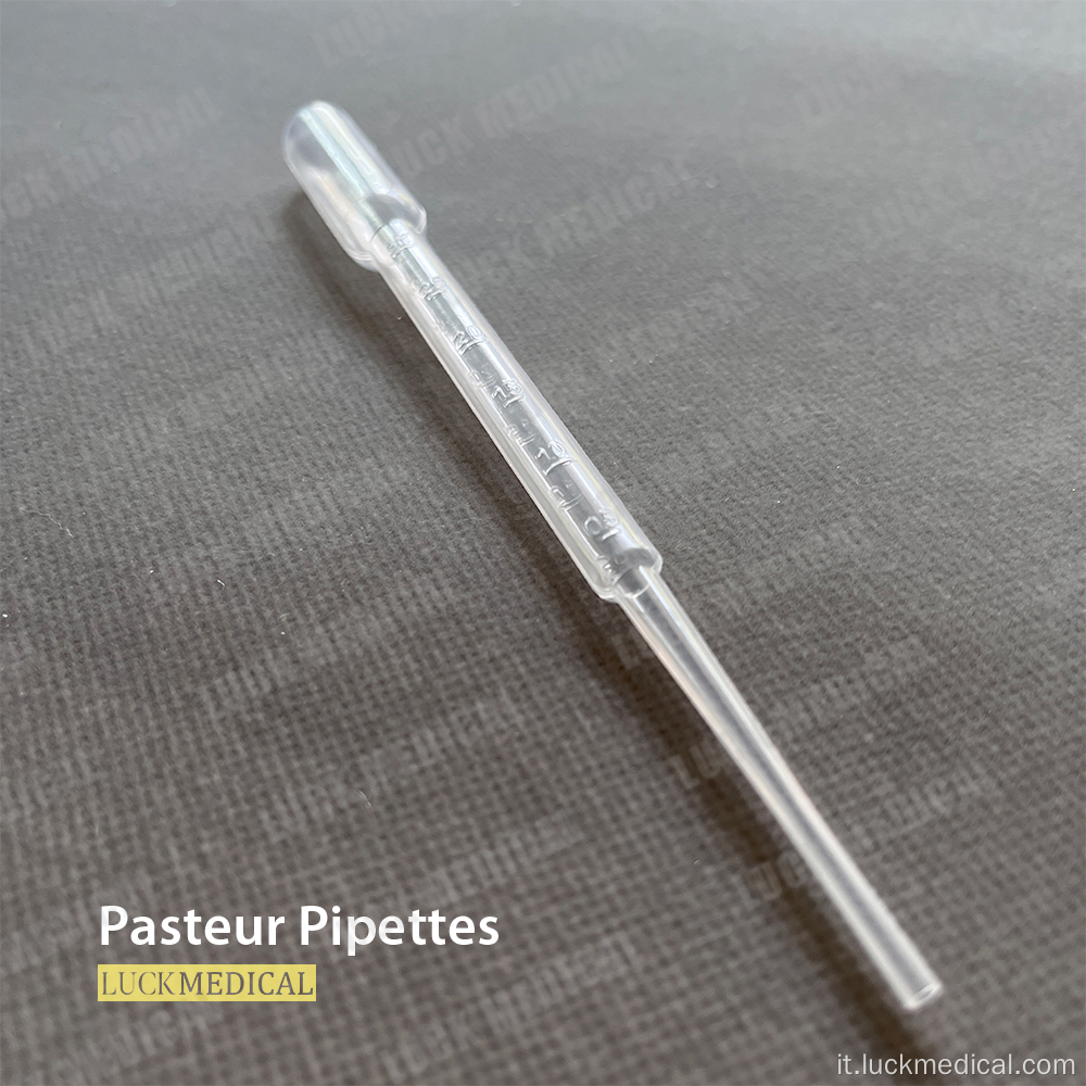 Pasteur Pipette Plastic graduata