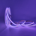 RGBW COB LED Flex Strip Light CRI>90