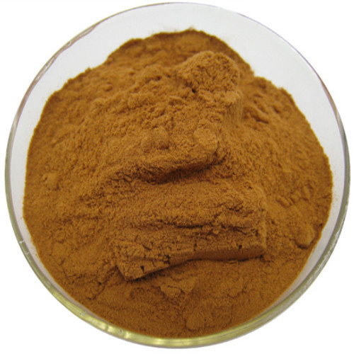 Plant Extract Wholesale High Quality Luo Han Guo Extract Mogroside Factory