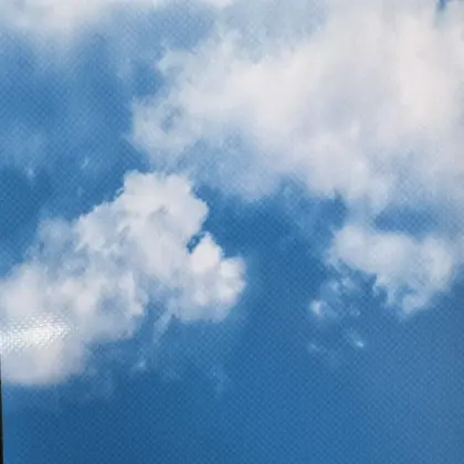 Livite 1000g Blue sky white clouds PVC membrane