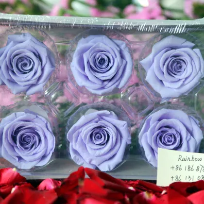 Cheapest Maybelline Eternal Rose Prices All Year for Benchmark Bouquets