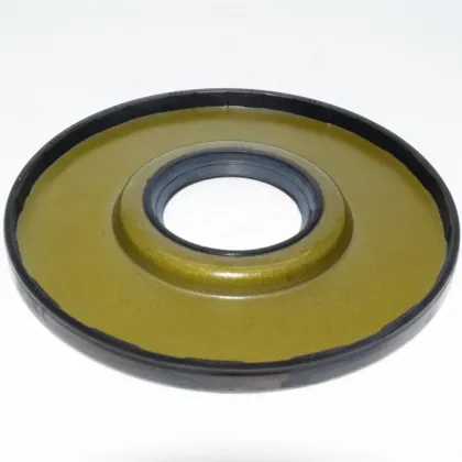 DMHUI OEM Oil Seal BE6656F for Servo Motor 24*66*6.5