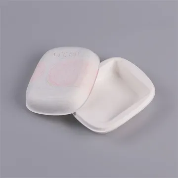Pulp Molding Bagasse Paper Eco-friendly Pulp Packaging Box