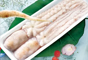 Frozen Seafood Poulp Squid