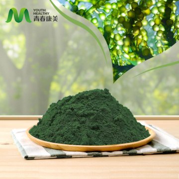 Karštai parduodama natūralios organinės spirulinos miltelių kiekis